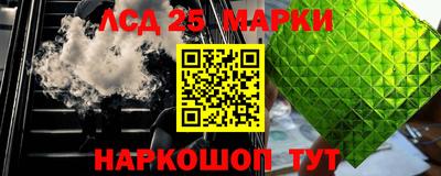 шишки Бузулук