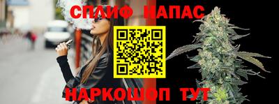 шишки Бузулук