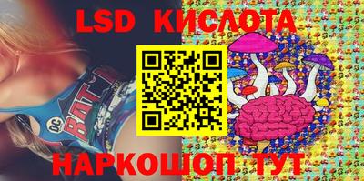 шишки Бузулук