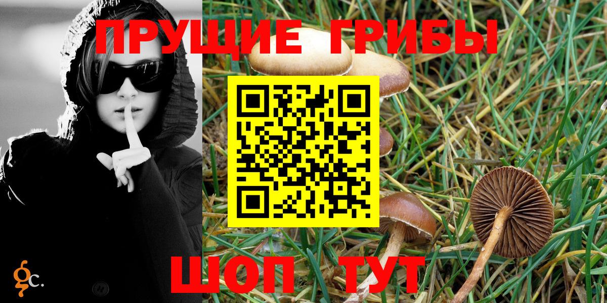 Псилоцибиновые грибы Psilocybine cubensis  Вход с VPN  Среднеуральск 